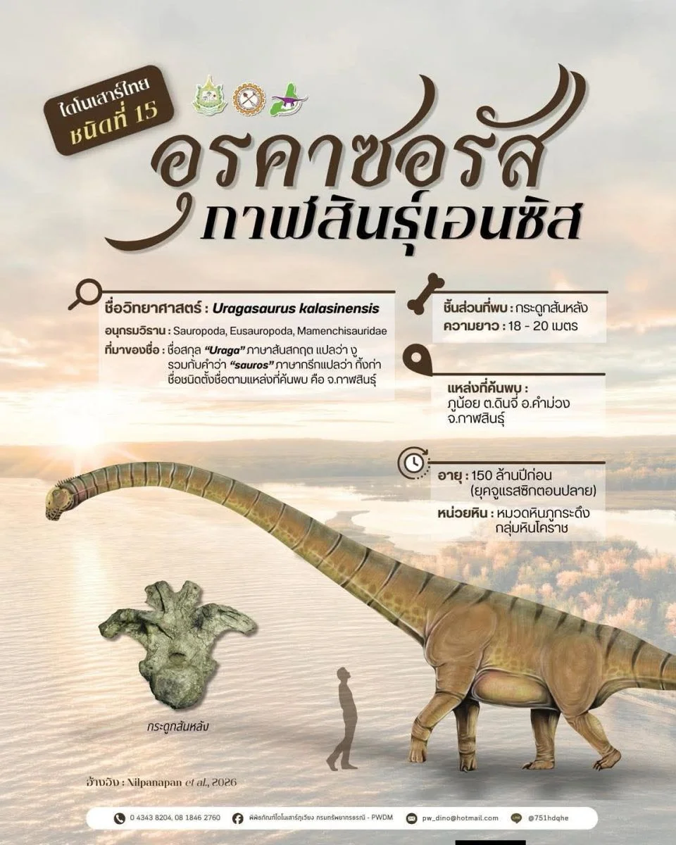 รูปภาพบทความ