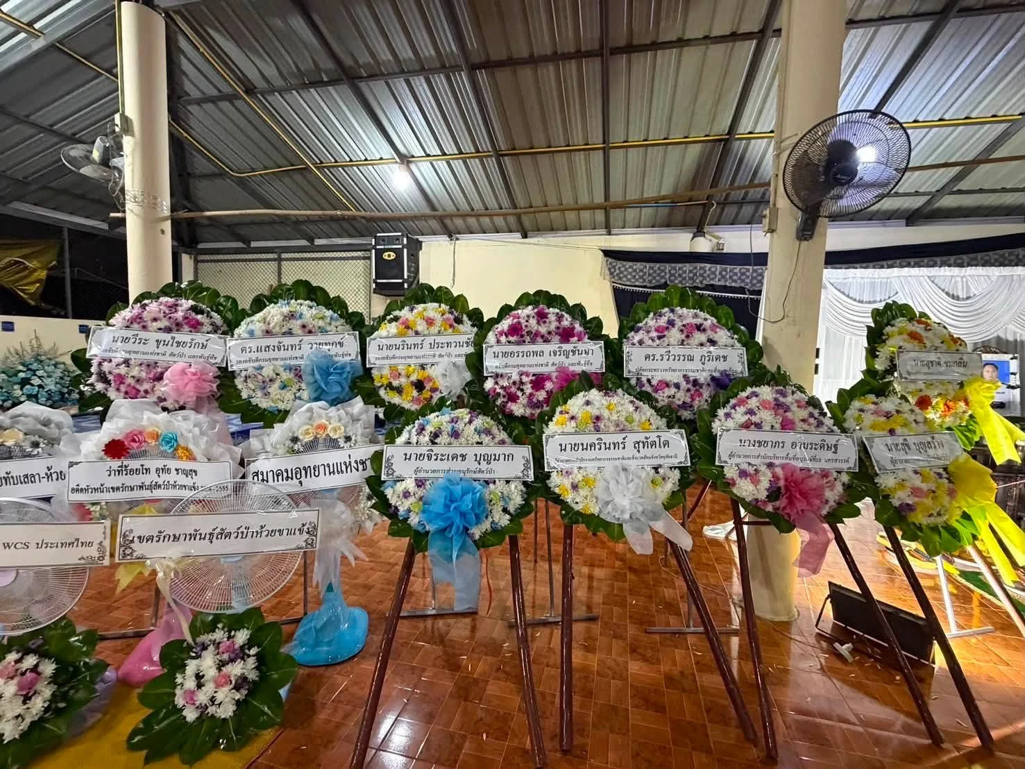รูปภาพบทความ