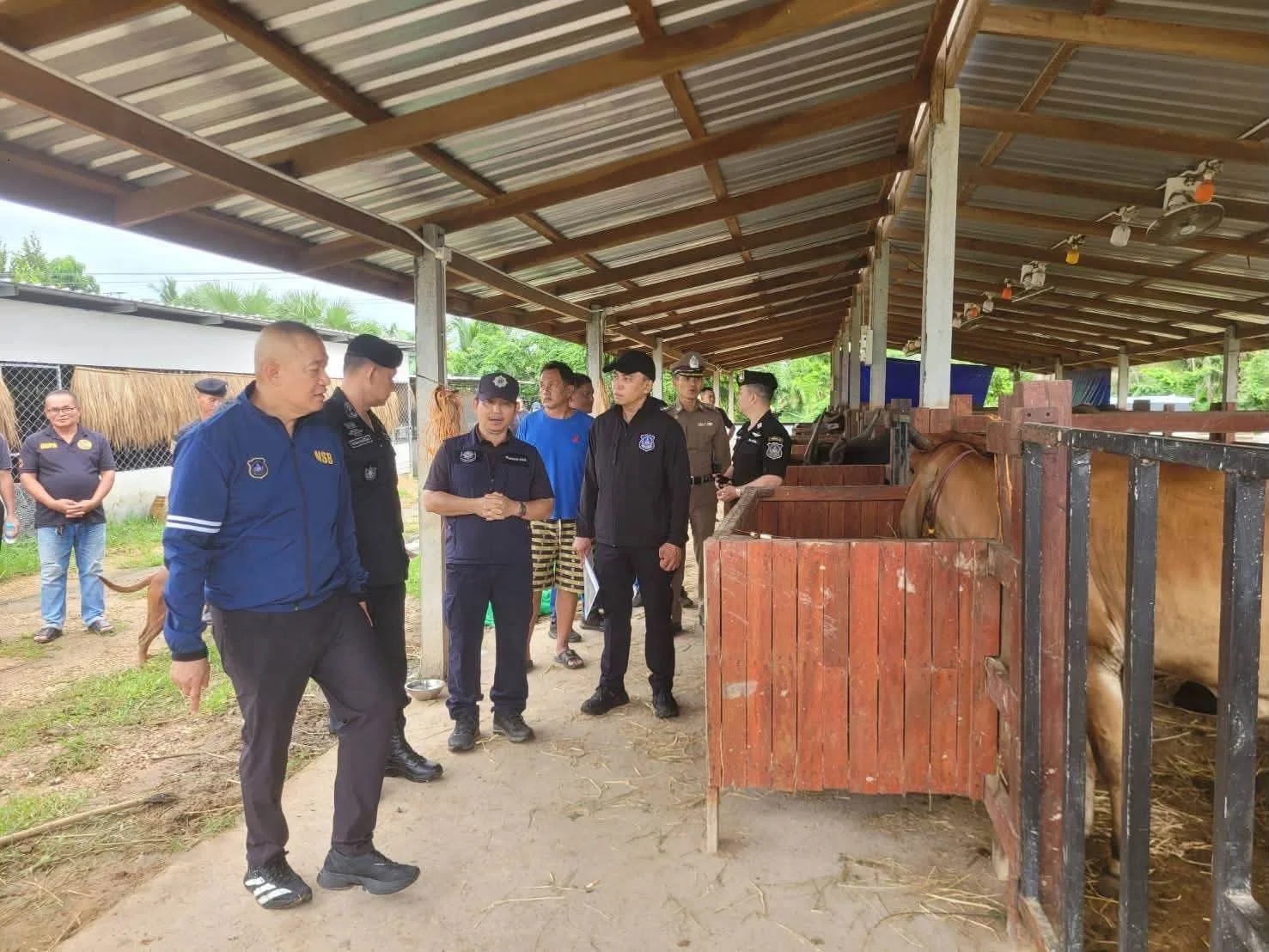ยึดทรัพย์เครือข่าย “Dark Farm 888” ฟอกเงินยาเสพติด