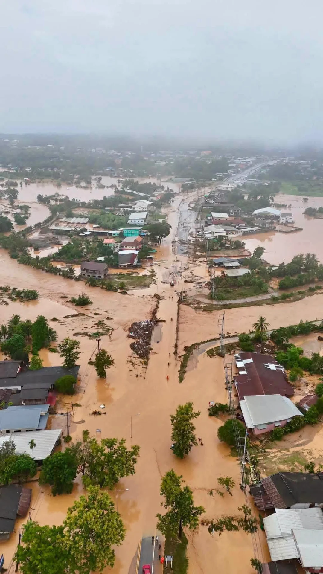 รูปภาพบทความ