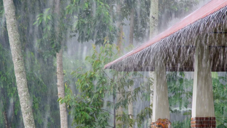 อุตุฯ เตือน 21 จังหวัดรับมือฝนตกหนัก ร่องมรสุมพาดผ่านตอนบน–เสี่ยงน้ำท่วมฉับพลัน