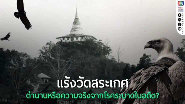 แร้งวัดสระเกศ ภาพสะท้อนของโรคระบาดในประวัติศาสตร์ไทย
