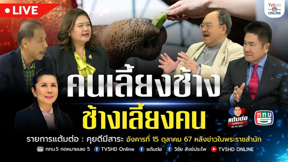 คนเลี้ยงช้าง ช้างเลี้ยงคน | แต้มต่อ 15 ต.ค.67