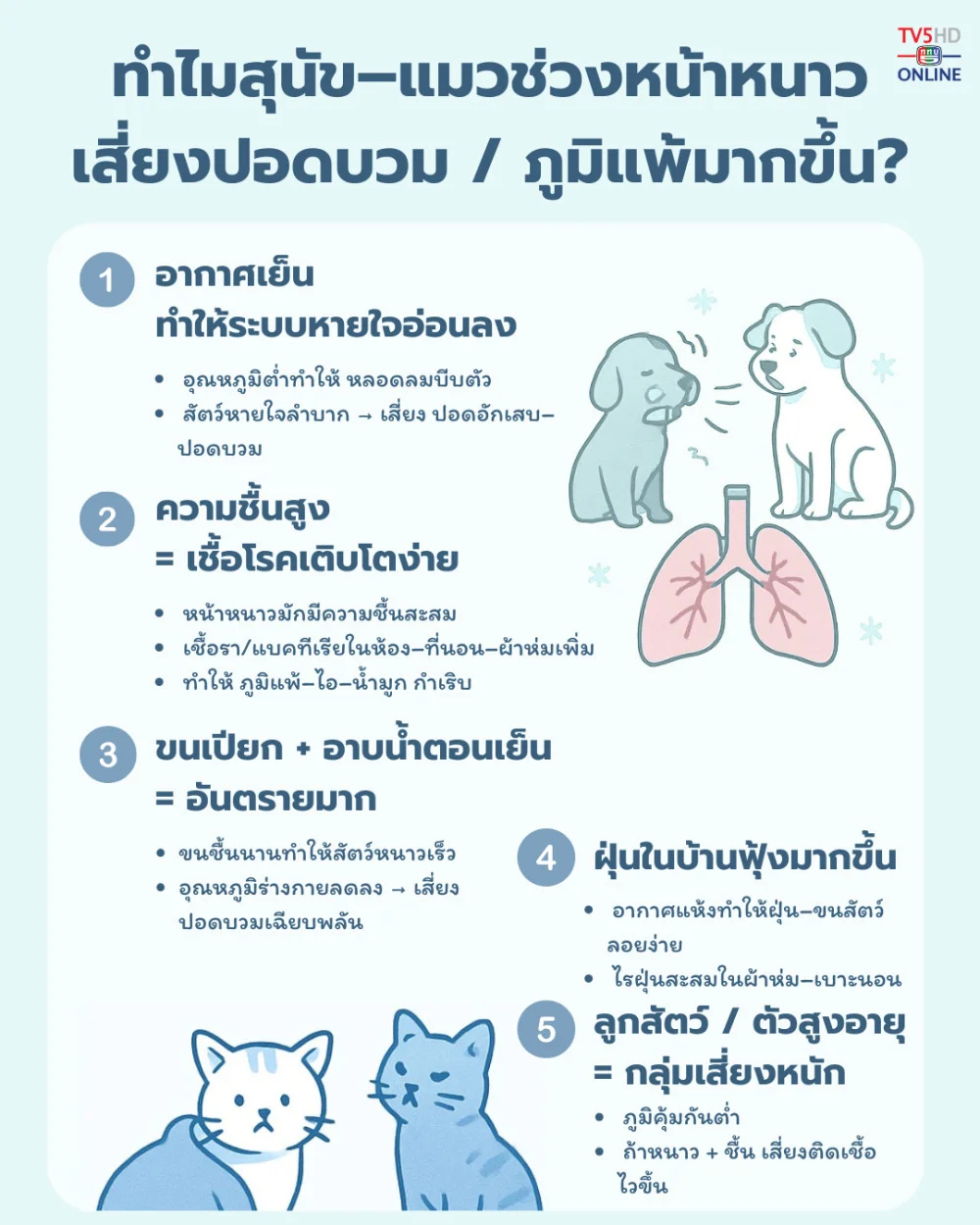 ทําไมสุนัข–แมวช่วงหน้าหนาวป่วยง่ายขึ้น?