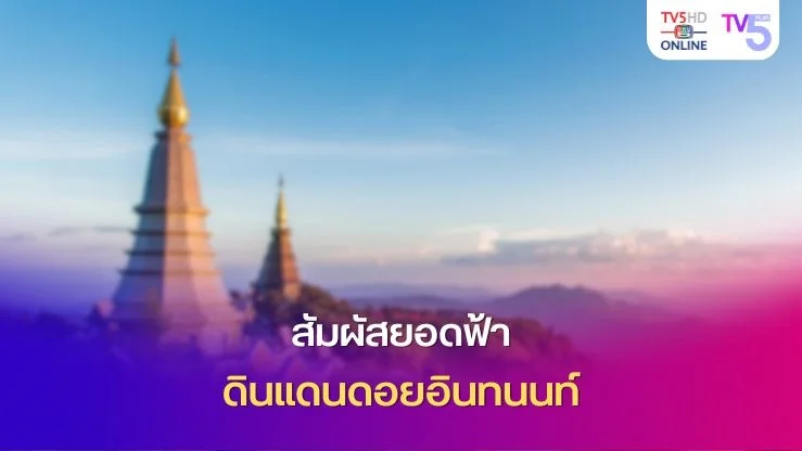  สัมผัสยอดฟ้า ดินแดนดอยอินทนนท์