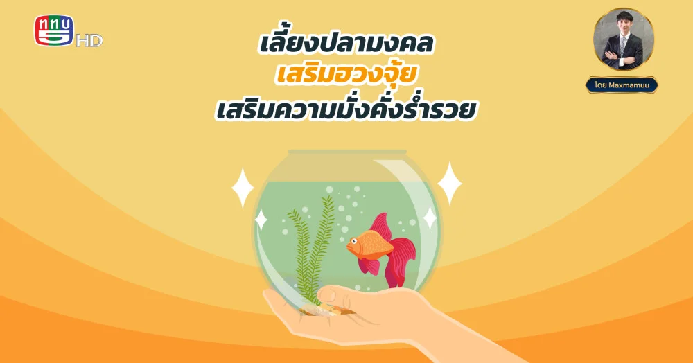 การเลี้ยงปลามงคล เสริมฮวงจุ้ย เสริมความมั่งคั่งร่ำรวย