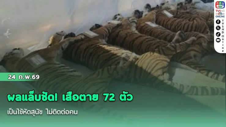 ผลแล็บชัด! เสือตาย 72 ตัว เป็นไข้หัดสุนัข ไม่ติดต่อคน
