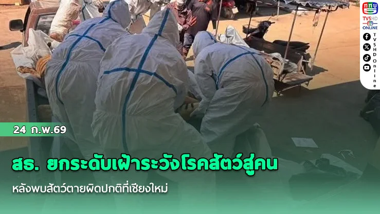 สธ. ยกระดับเฝ้าระวังโรคสัตว์สู่คน หลังพบสัตว์ตายผิดปกติที่เชียงใหม่