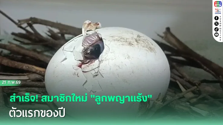 สําเร็จ! สมาชิกใหม่ "ลูกพญาแร้ง" ตัวแรกของปี