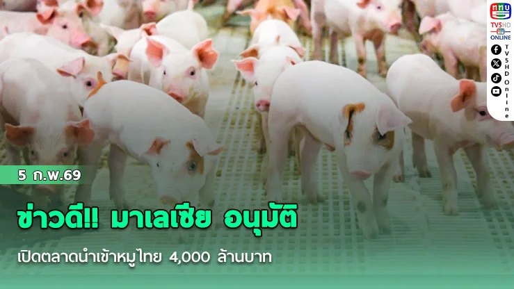 ข่าวดี!! มาเลเซีย อนุมัติ เปิดตลาดนําเข้าหมูไทย 4,000 ล้านบาท ยกระดับราคา