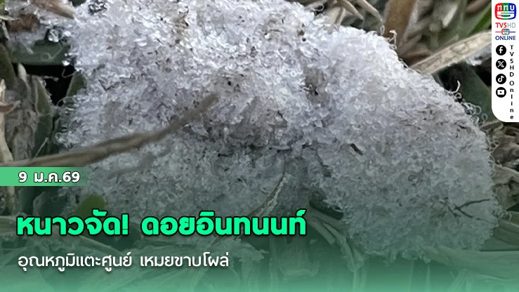 หนาวจัด! ดอยอินทนนท์ อุณหภูมิแตะศูนย์ เหมยขาบโผล่