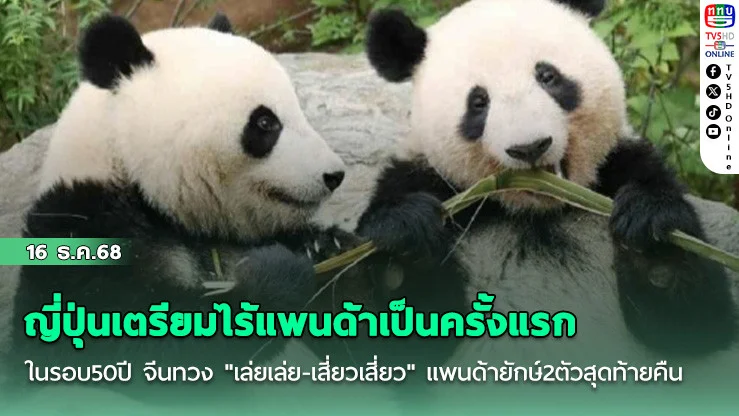 ญี่ปุ่นเตรียมไร้แพนด้าเป็นครั้งแรกในรอบ50ปี จีนทวง "เล่ยเล่ย-เสี่ยวเสี่ยว"  แพนด้ายักษ์2ตัวสุดท้ายคืน