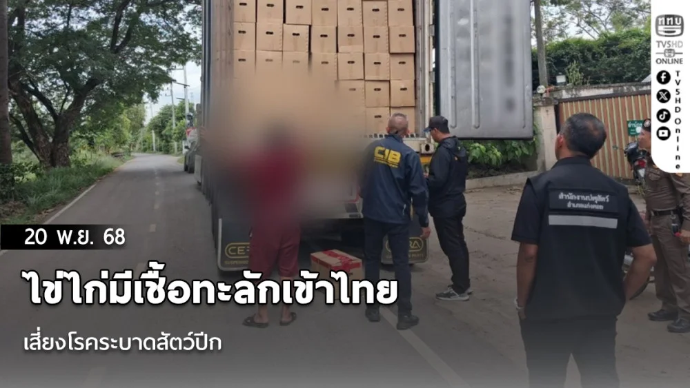 ไข่ไก่มีเชื้อทะลักเข้าไทย เสี่ยงโรคระบาดสัตว์ปีก