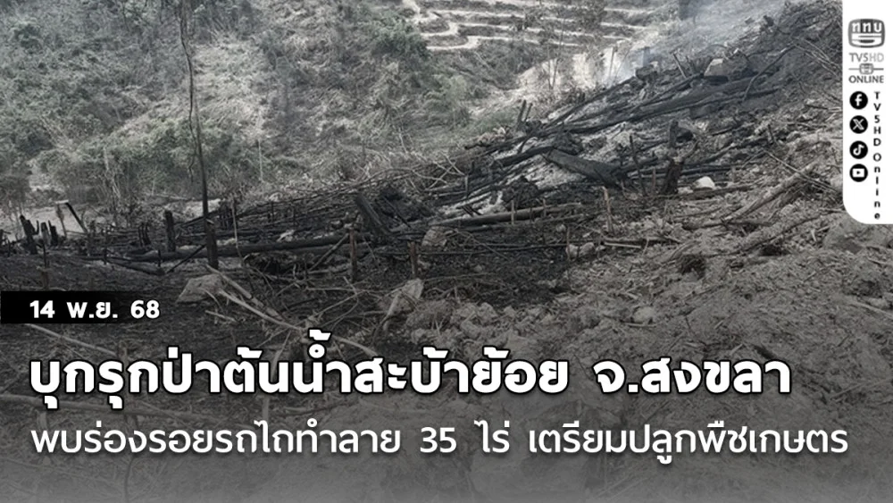 บุกรุกป่าต้นน้ําสะบ้าย้อย จ.สงขลา  พบร่องรอยรถไถทําลาย 35 ไร่ เตรียมปลูกพืชเกษตร