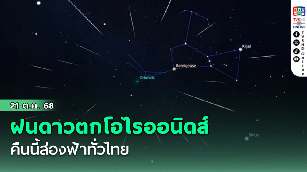 ฝนดาวตกโอไรออนิดส์ คืนนี้ส่องฟ้าทั่วไทย