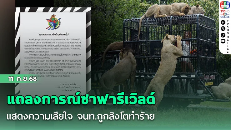แถลงการณ์ซาฟารีเวิลด์ แสดงความเสียใจ จนท.ถูกสิงโตทําร้าย 