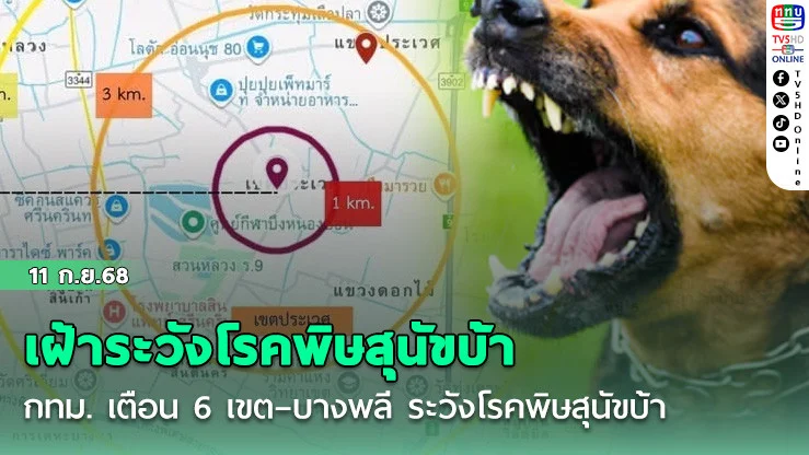 กทม. เตือน 6 เขต–บางพลี ระวังโรคพิษสุนัขบ้า