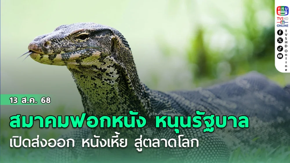 สมาคมฟอกหนัง หนุนรัฐบาลเปิดส่งออก หนังเหี้ย สู่ตลาดโลก
