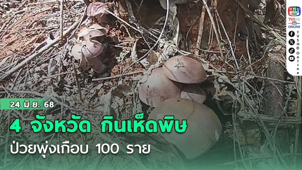 เปิดชื่อ 4 จังหวัด กินเห็ดพิษ ป่วยพุ่งเกือบ 100 ราย