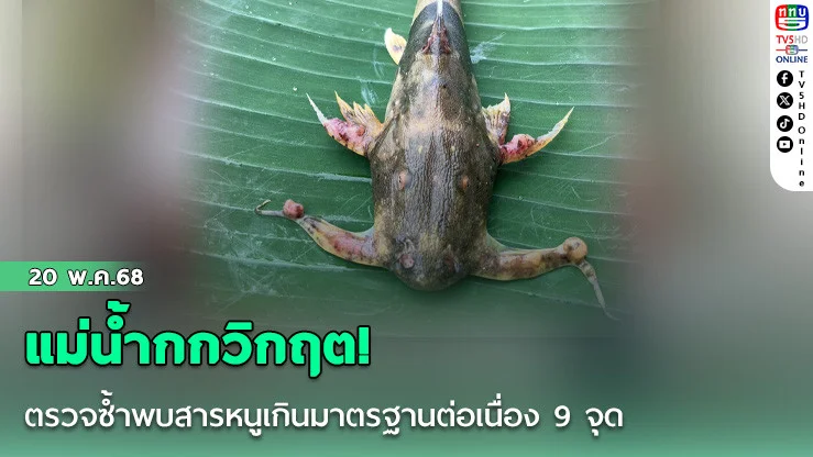 แม่น้ำกกวิกฤต! ตรวจซ้ำพบสารหนูเกินมาตรฐานต่อเนื่อง 9 จุด