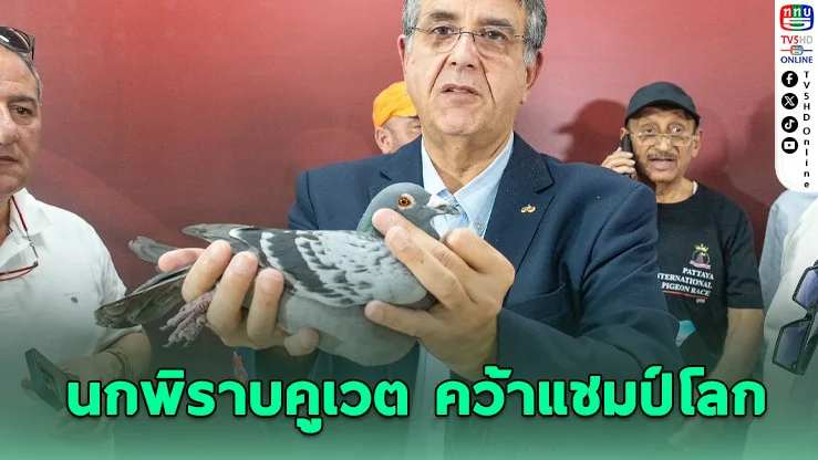 นกพิราบคูเวต คว้าแชมป์โลกสนามพัทยา