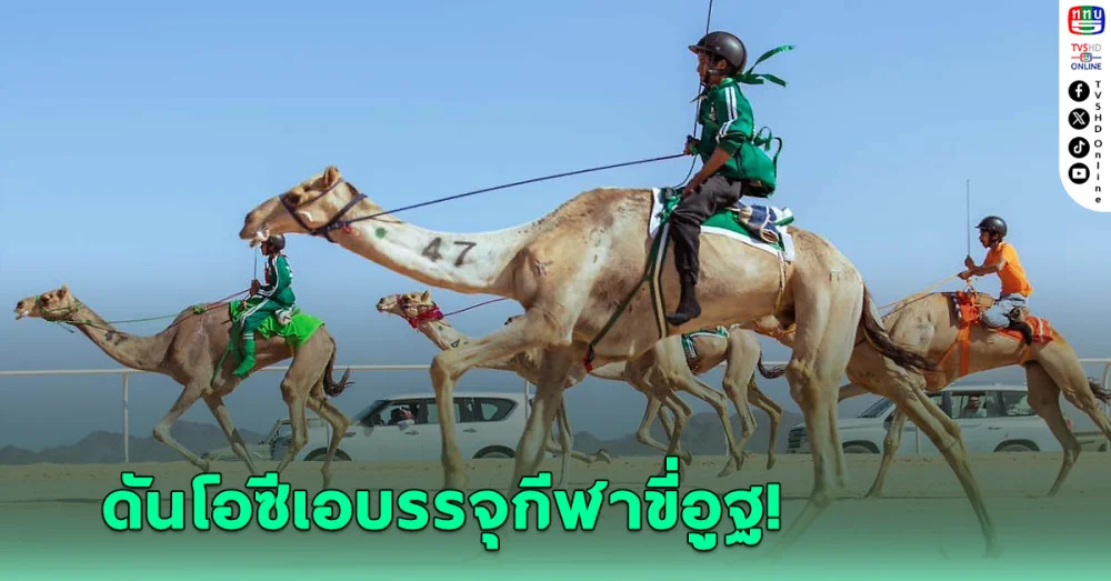 ชาติอาหรับดัน "โอซีเอ" บรรจุกีฬาขี่อูฐในเอเชี่ยนยูธเกมส์ที่บาห์เรน