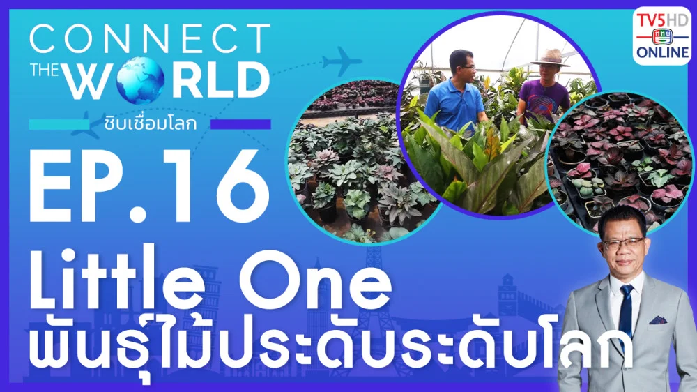 Connect the world ชิบเชื่อมโลก EP.16 วันที่ 28 มกราคม 2567