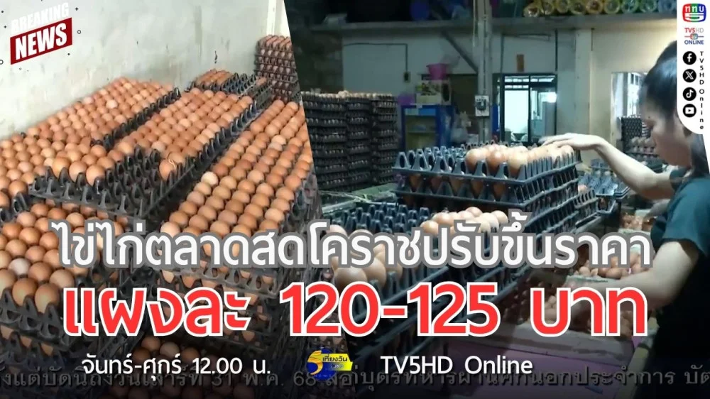 ไข่ไก่ตลาดสดโคราชปรับขึ้นราคา แผงละ 120-125 บาท