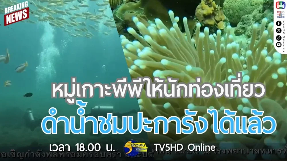 หมู่เกาะพีพีให้นักท่องเที่ยวดำน้ำชมปะการังได้แล้ว