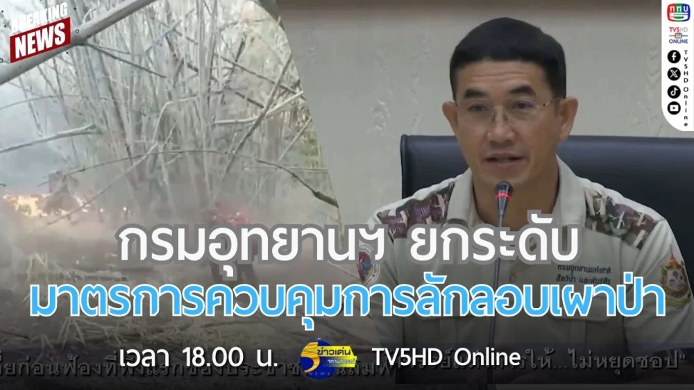 กรมอุทยานฯ ยกระดับมาตรการควบคุมการลักลอบเผาป่า