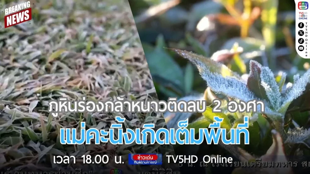 ภูหินร่องกล้าหนาวติดลบ 2 องศา แม่คะนิ้งเกิดเต็มพื้นที่