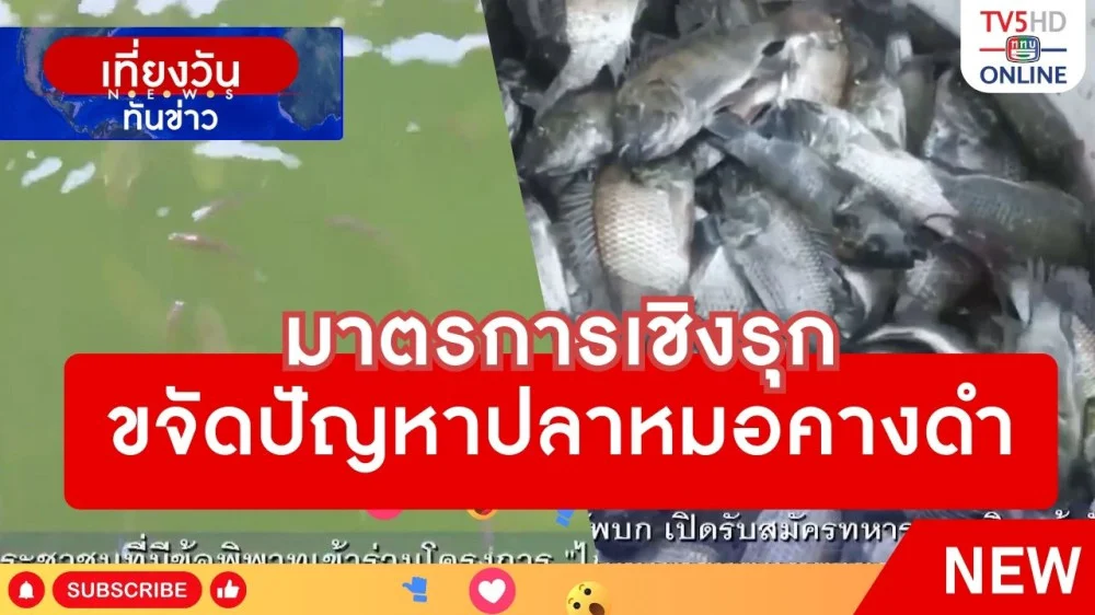 มาตรการเชิงรุกขจัดปัญหาปลาหมอคางดำ