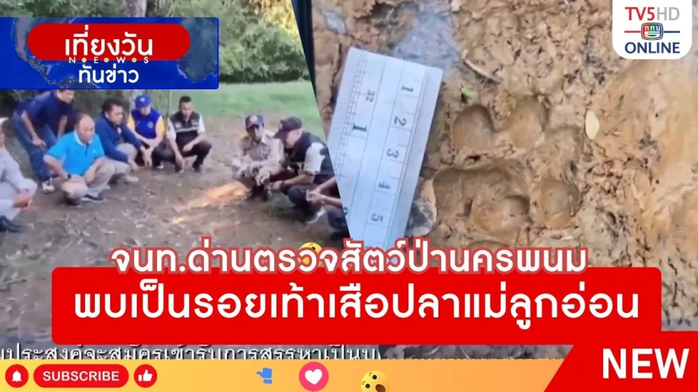 จนท.ด่านตรวจสัตว์ป่านครพนมพบเป็นรอยเท้าเสือปลาแม่ลูกอ่อน