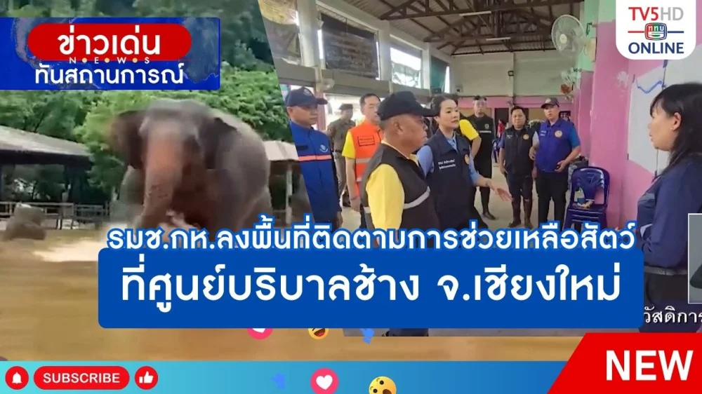 รมช.กห.ลงพื้นที่ติดตามการช่วยเหลือสัตว์ ที่ศูนย์บริบาลช้าง จ.เชียงใหม่