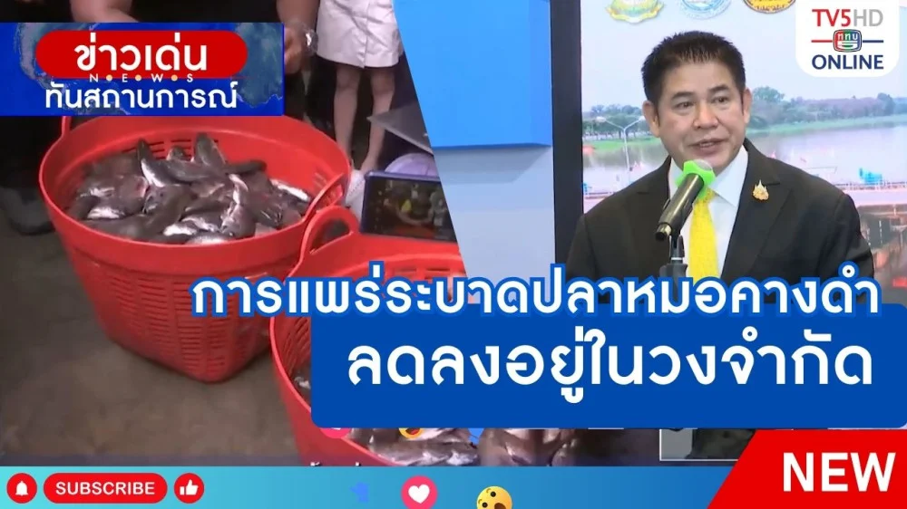 การแพร่ระบาดปลาหมอคางดำลดลงอยู่ในวงจำกัด