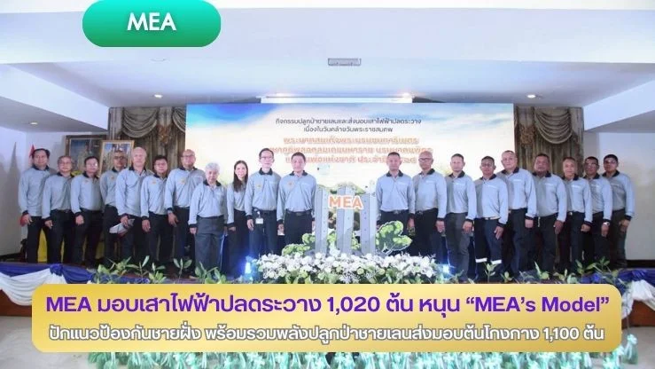 MEA มอบเสาไฟฟ้าปลดระวาง 1,020 ต้น หนุน “MEA's Model" ปักแนวป้องกันชายฝั่ง พร้อมรวมพลังปลูกป่าชายเลนส่งมอบต้นโกงกาง 1,100 ต้น