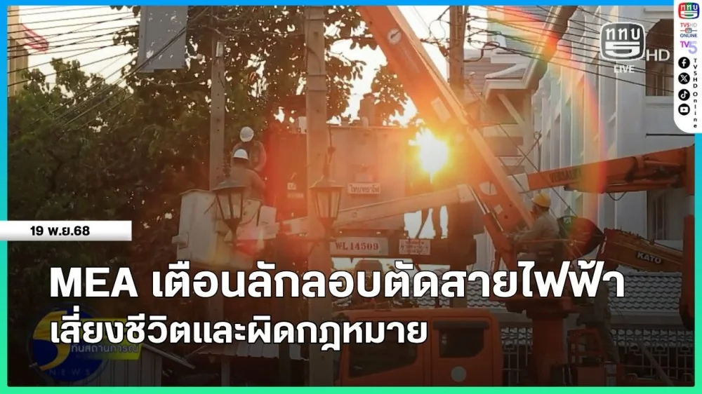 MEA เตือนลักลอบตัดสายไฟฟ้า เสี่ยงชีวิตและผิดกฎหมาย