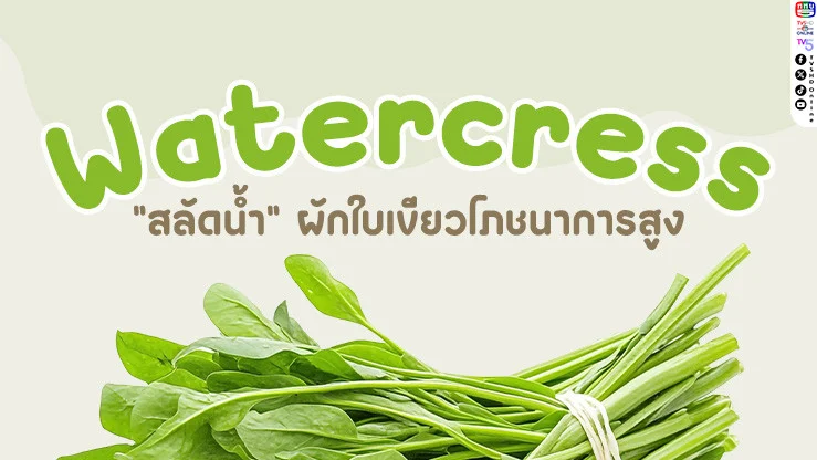 "สลัดน้ำ" (Watercress) ผักใบเขียวที่คุณไม่ควรมองข้าม!
