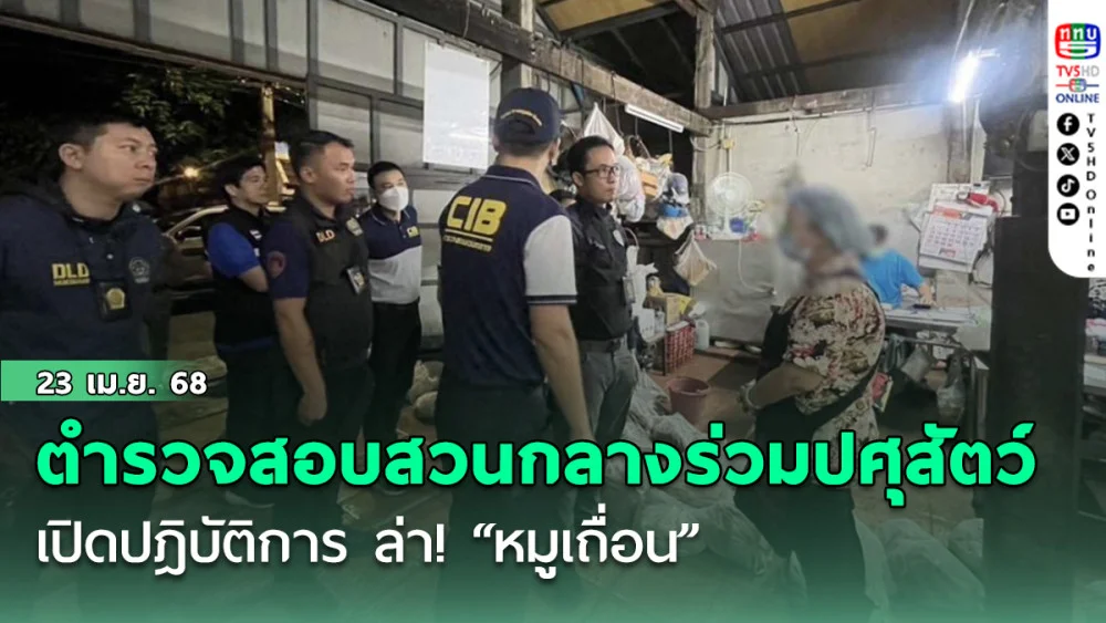 ตำรวจสอบสวนกลาง (CIB) ร่วมปศุสัตว์ เปิดปฎิบัติการ ล่า! “หมูเถื่อน” บุกกรุง จับโรงชำแหละหมูย่านบางซื่อ