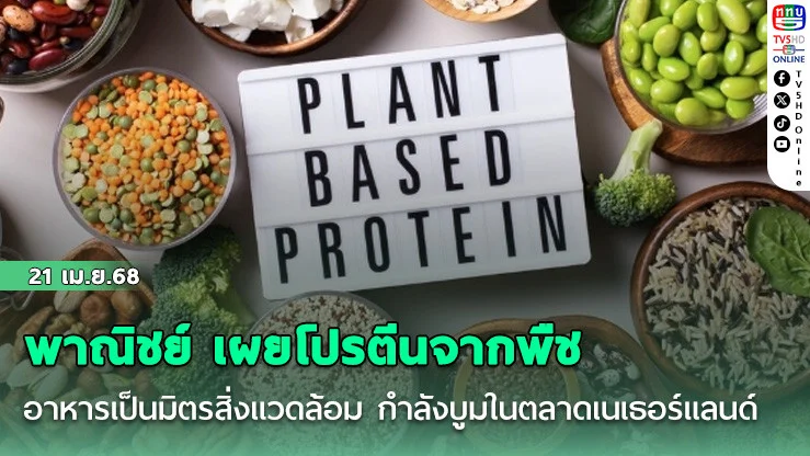 พาณิชย์ เผยโปรตีนจากพืช อาหารเป็นมิตรสิ่งแวดล้อม กำลังบูมในตลาดเนเธอร์แลนด์