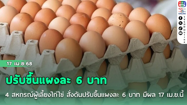4 สหกรณ์ผู้เลี้ยงไก่ไข่ สั่งดันราคา ‘ไข่ไก่’ ปรับขึ้นแผงละ 6 บาท มีผล 17 เม.ย.นี้