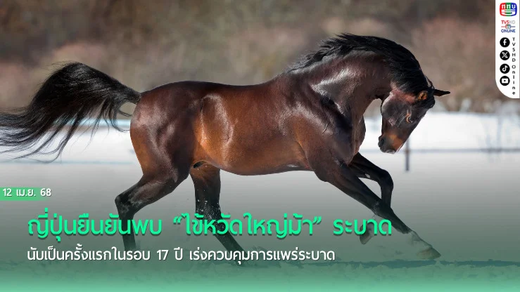 ญี่ปุ่นพบ “ไข้หวัดใหญ่ม้า” ครั้งแรกในรอบ 17 ปี