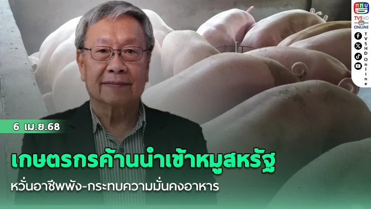 เกษตรกรค้านนำเข้าหมูสหรัฐ หวั่นอาชีพพัง-กระทบความมั่นคงอาหาร