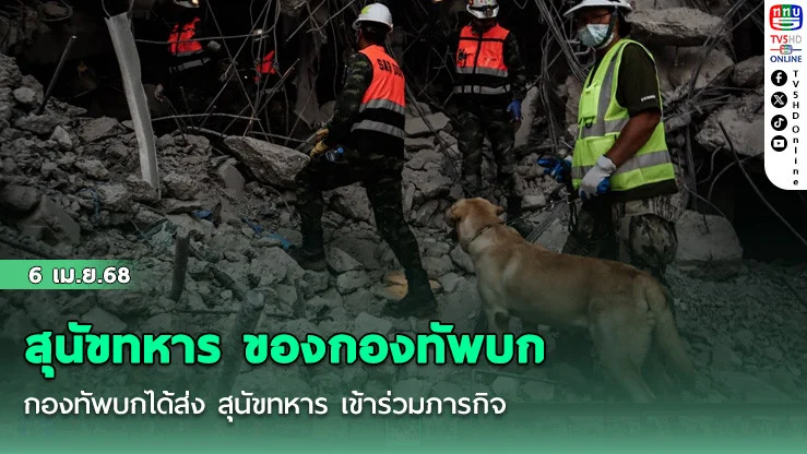 สุนัขทหาร ของกองทัพบก 