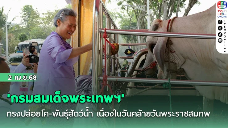 'กรมสมเด็จพระเทพฯ'ทรงปล่อยโค-พันธุ์สัตว์น้ำ เนื่องในวันคล้ายวันพระราชสมภพ