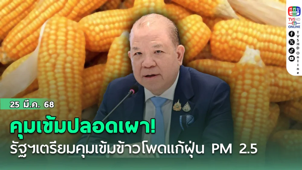 คุมเข้มปลอดเผา! “พิชัย” แจง รัฐบาลเตรียมออก 4 มาตรการคุมเข้มข้าวโพดแก้ฝุ่น PM 2.5