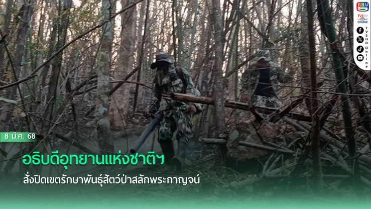 อธิบดีอุทยานแห่งชาติฯ สั่งปิดเขตรักษาพันธุ์สัตว์ป่าสลักพระกาญจน์ ห้ามเข้าไปเก็บหาของป่าทุกกรณีเพื่อฟื้นฟูพื้นที่ป่าอย่างไม่มีกำหนด