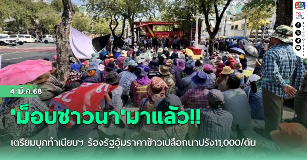 'ม็อบชาวนา'มาแล้ว!! เตรียมบุกทำเนียบฯ ร้องรัฐอุ้มราคาข้าวเปลือกนาปรัง11,000/ตัน
