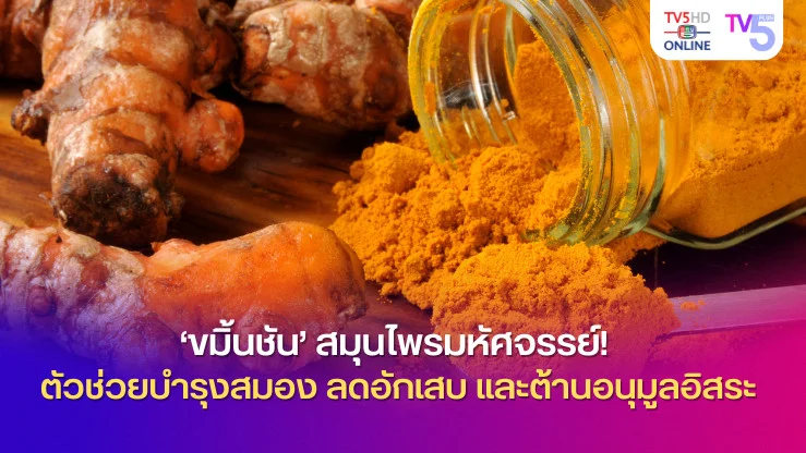 ‘ขมิ้นชัน’ สมุนไพรมหัศจรรย์! ตัวช่วยบำรุงสมอง ลดอักเสบ และต้านอนุมูลอิสระ