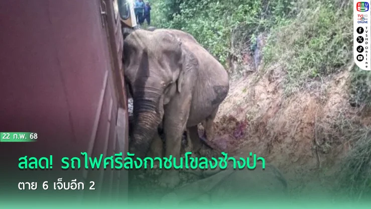 สลด! รถไฟศรีลังกาชนโขลงช้างป่า ตาย 6 เจ็บอีก 2 